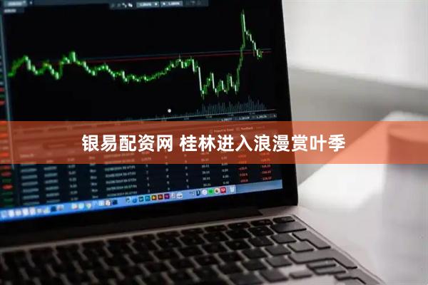 银易配资网 桂林进入浪漫赏叶季