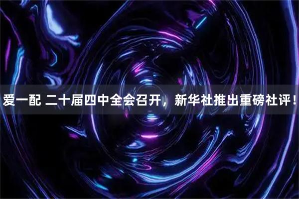 爱一配 二十届四中全会召开，新华社推出重磅社评！