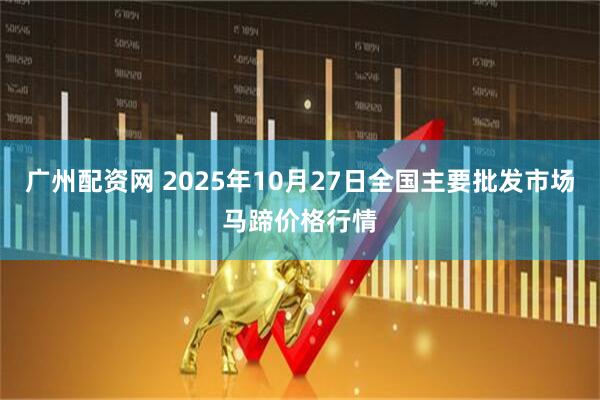 广州配资网 2025年10月27日全国主要批发市场马蹄价格行情