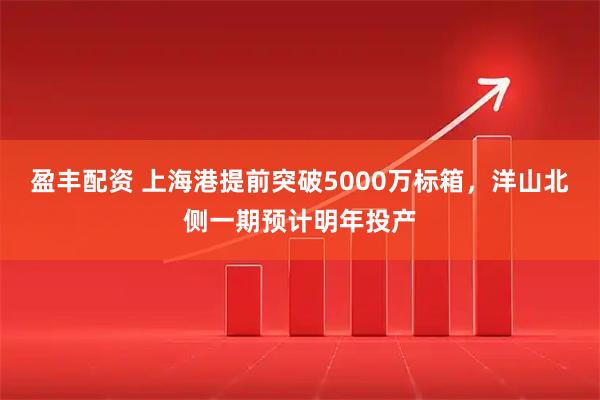 盈丰配资 上海港提前突破5000万标箱，洋山北侧一期预计明年投产