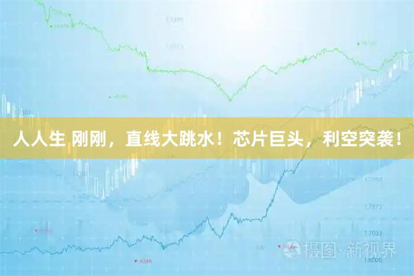 人人生 刚刚，直线大跳水！芯片巨头，利空突袭！