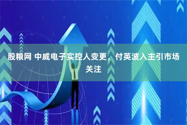 股粮网 中威电子实控人变更，付英波入主引市场关注